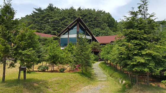 편백원