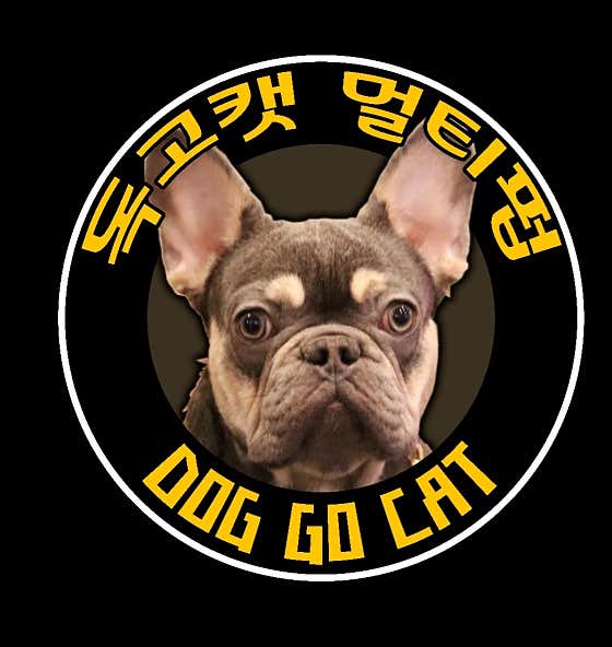 독고캣 · 네이버 지도·플레이스 2
