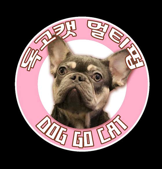 독고캣 · 네이버 지도·플레이스 7