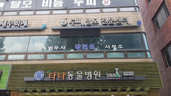 다나동물병원 대표이미지