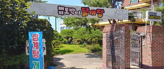 해미토박이닭개장