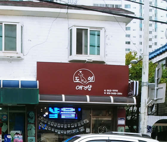 도연애견샵 · 네이버 지도·플레이스 2