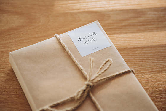 종려나무사진관