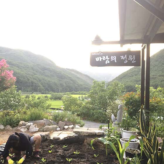 바람의정원