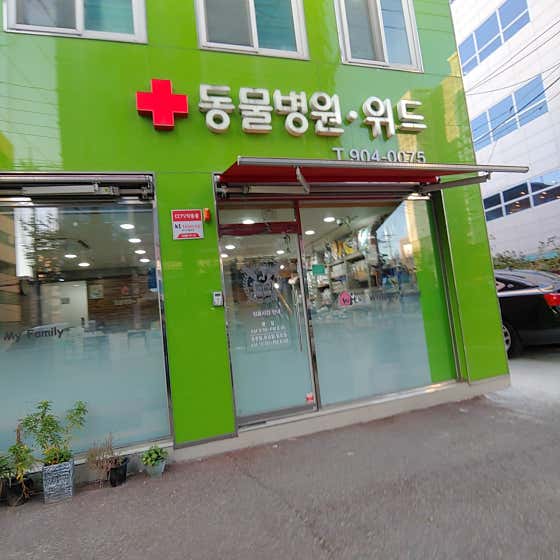 동물병원 위드 대표이미지