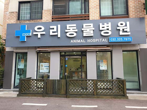 우리앤동물병원