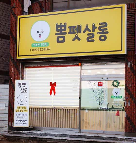뽐펫살롱