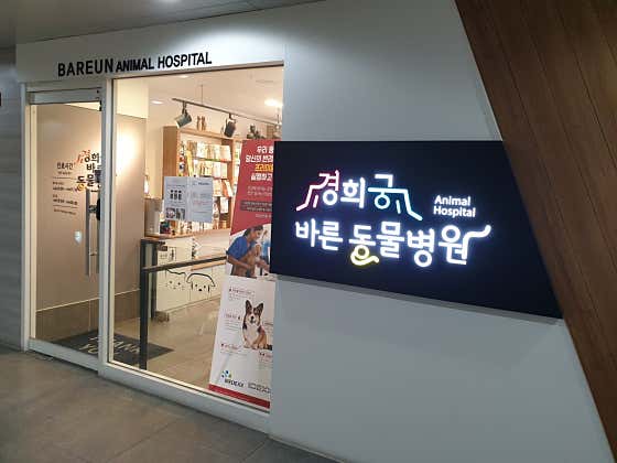 경희궁 바른 동물병원 · 네이버 지도·플레이스 10