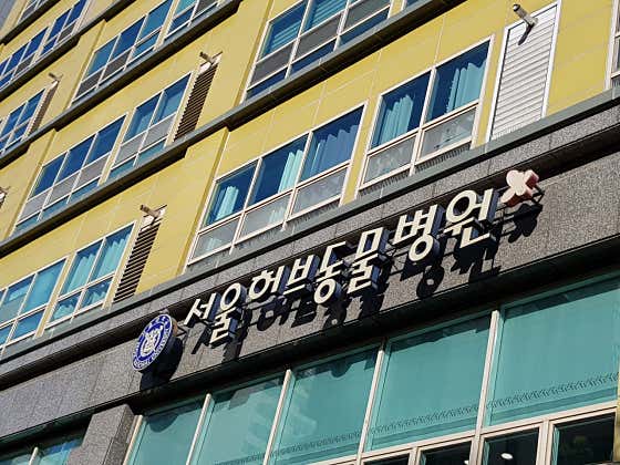 서울허브동물병원 대표이미지