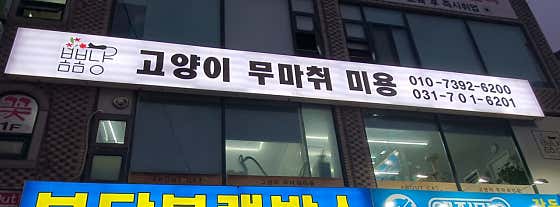 봄봄냥 · 네이버 지도·플레이스 2
