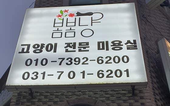 봄봄냥 · 네이버 지도·플레이스 3