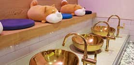 어깨풀어야지 (쌍문) 매장 사진 3