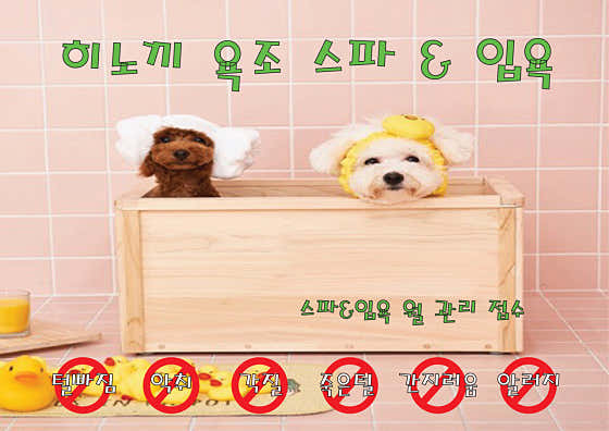 파래 Dog 뷰티살롱 · 네이버 지도·플레이스 4