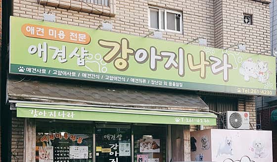 강아지나라