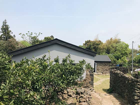 호나