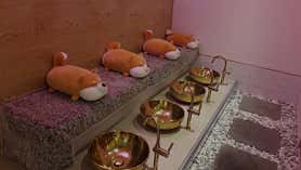 어깨풀어야지 (쌍문) 매장 사진 4