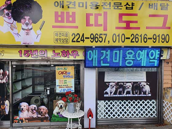 쁘띠도그 산수2호점