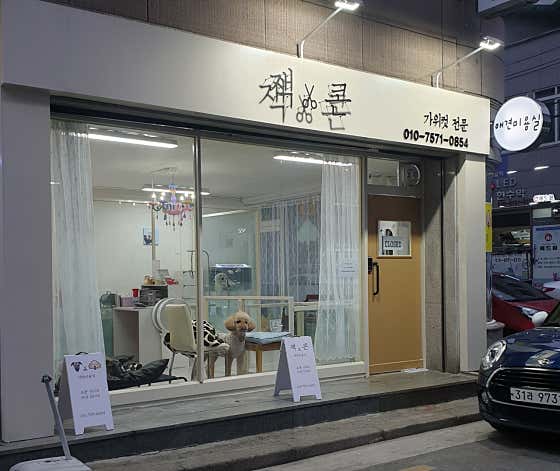 잭콘이네 애견미용실 · 네이버 지도·플레이스 2