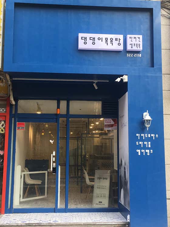 댕댕이목욕탕