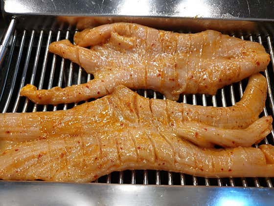 양고을 사진 2