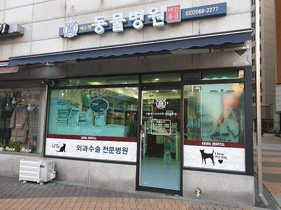 애드펫동물병원 대표이미지