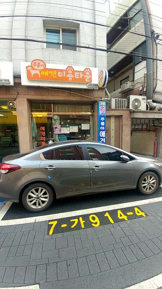 주름이애견미용타운 · 네이버 지도·플레이스 2