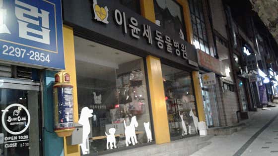 이윤세동물병원 대표이미지
