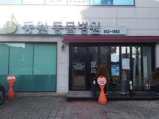 동원동물병원