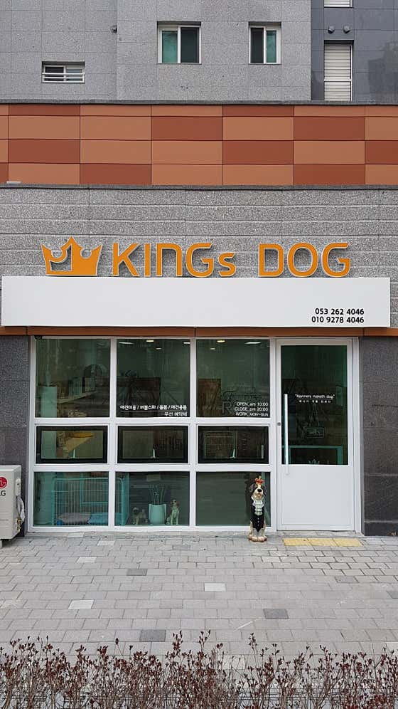 킹스독