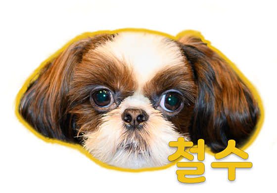 술노리아 · 네이버 지도·플레이스 9