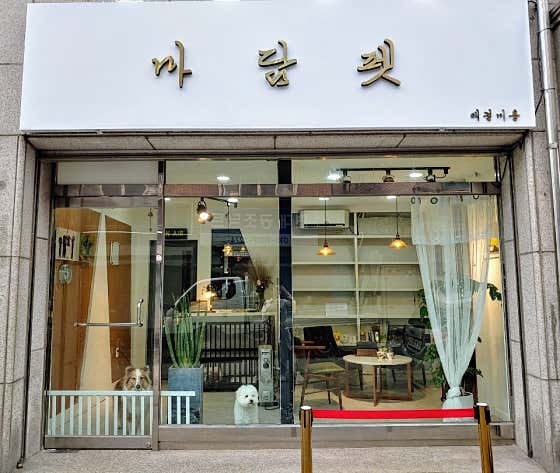 쓰담쓰담