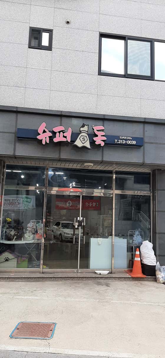 슈퍼독