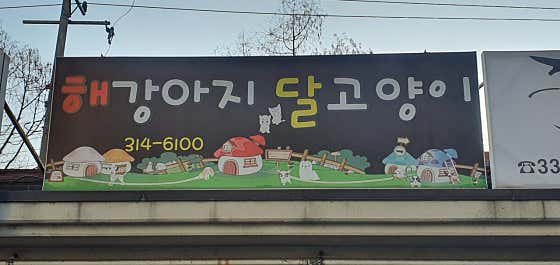 해강아지달고양이 · 네이버 지도·플레이스 7