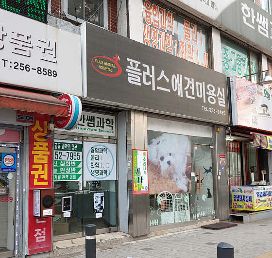 플러스애견미용실