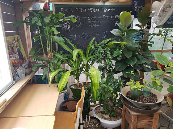 아기자기카페 · 네이버 지도·플레이스 3