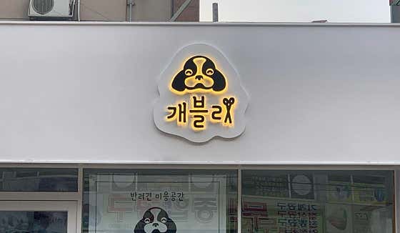 개블리 · 네이버 지도·플레이스 2