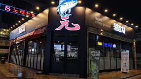 원참치 사진 4