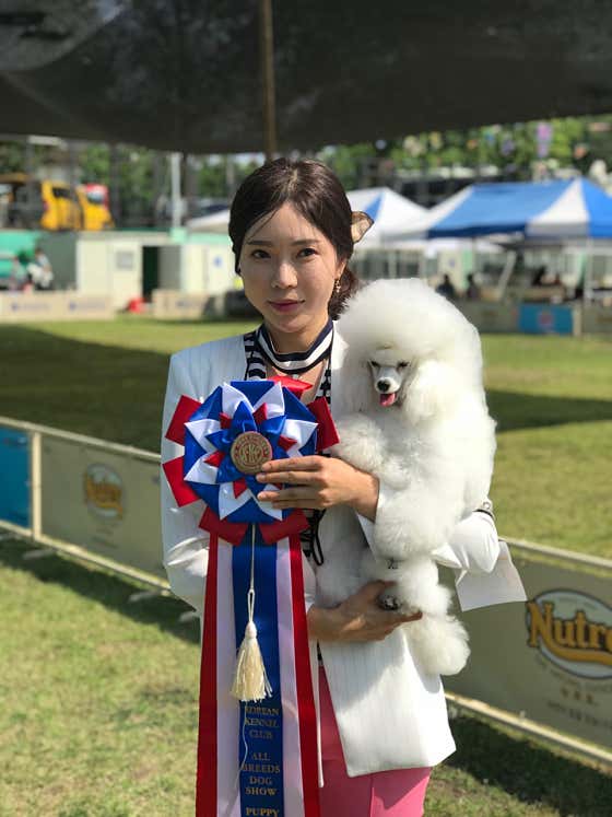 디스타일 다산애견미용 · 네이버 지도·플레이스 9