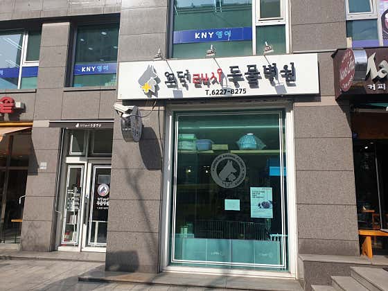고덕24시 동물병원 · 네이버 지도·플레이스 3