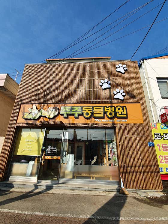 주주동물병원