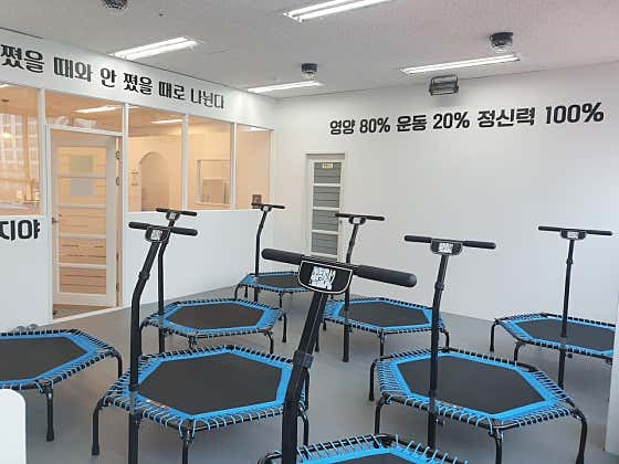 영양주는 점핑아지야