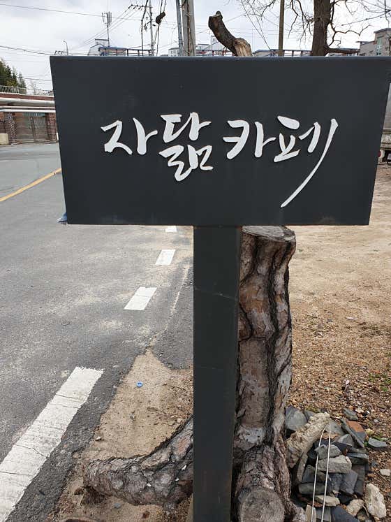 자연을닮은소박한집 자닮카페 · 네이버 지도·플레이스 7