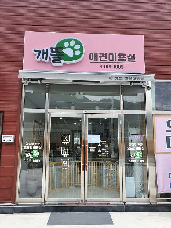 개뜰 애견미용실 · 네이버 지도·플레이스 6
