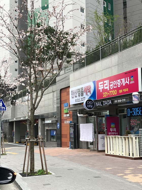 한신명품세탁 이미지