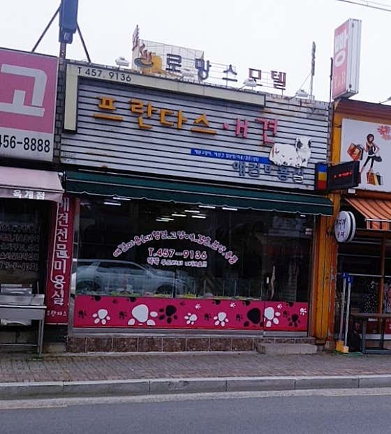 프란다스애견미용실 대표이미지