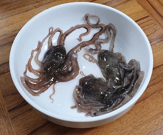 네이버 플레이스 무교동낙지 애 보쌈 : 네이버
