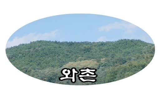 와촌식육식당 삼성시티점 사진 2
