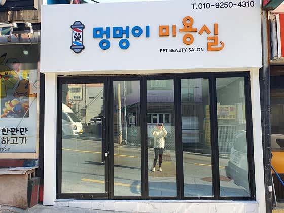 멍멍이미용실