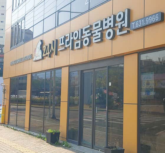 24시프라임동물병원