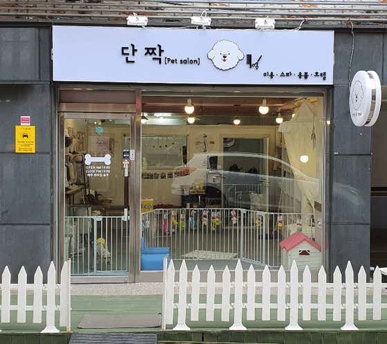 단짝 대표이미지